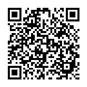 林平山心里也想争取到这个风力发电站和光伏发电的扶贫项目二维码生成