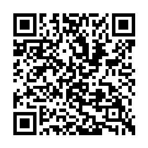 林彩依漫不经心的挑了一串青菜拿过来吃了一口二维码生成