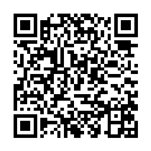 林德则是警惕的在他们进来的那个密道墙壁处守护着二维码生成