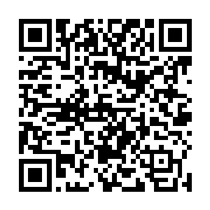 林成秀不用千里眼也能看到船上的隐隐飘着的骷髅旗了二维码生成