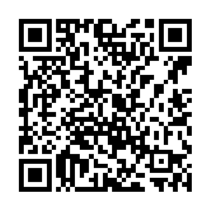 林放也从来没有告诉过方羽和糜彦他自己的真正身份二维码生成