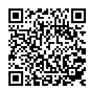 林教官终于知道之前为什么那么多人看着古巴和古巴的屁股了二维码生成