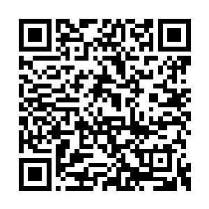 林晓夕拉着赵纯良本打算随便的找一张桌子坐的二维码生成