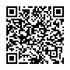 林晓夕的母校海市大学再过一个月就是九十周年的校庆了二维码生成