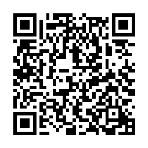 林木小心翼翼地安排他们送到了张涛和赵长天面前二维码生成