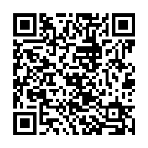 林欣悦之所以打个电话也只是想问问他们在干什么二维码生成
