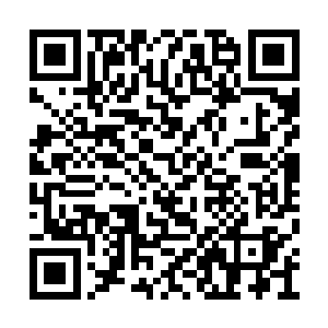 林残知道今天不把话说清楚少年不可能放过自己二维码生成