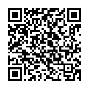 林沐风和中年妇人等人自然深知玄阴葵水的巨大价值二维码生成