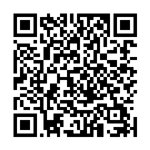 林洋就将女人还有厨师医生等无辜的人员撤到了安全的地方二维码生成