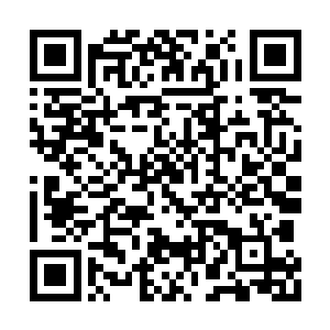 林浣溪和闻人牧月才极有默契的同时停住了脚步二维码生成