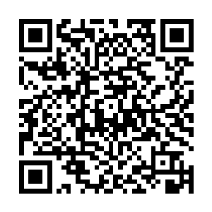 林浣溪就是以送贝贝去幼儿园的借口逃离记者们的围堵二维码生成