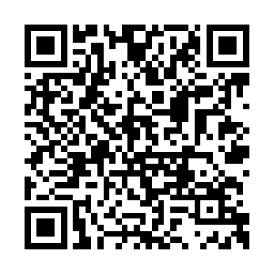 林清源放下手头上的报纸笑呵呵的看着秦洛说道二维码生成