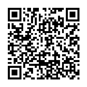 林清源跑过去看了一番秦铮的各种身体性能指数二维码生成