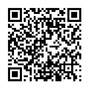林烽也不禁为之前得到过定海神珠的那些前辈们可惜了二维码生成