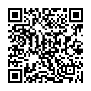 林烽也立刻朝着秦嫣然一直盯着的那一幅画看了过去二维码生成