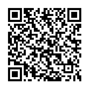 林烽会通过各种逆天的丹药强行增加他们的寿元二维码生成