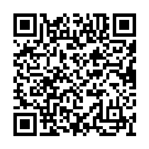 林烽便听到了家门口父亲开着面包车回来的声音二维码生成