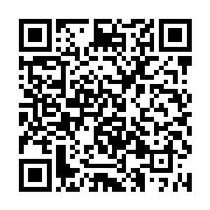 林烽其实一直以来就觉得她是自己心目中的完美女人二维码生成