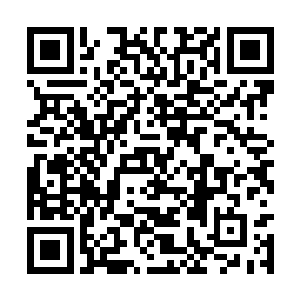林烽却是在第一时间拉着她们两人跑进了食堂里面二维码生成