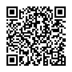 林烽发现灵灵身上的那一股淡淡的力量威压似乎消失不见了二维码生成