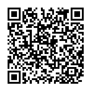 林烽发现自己不知不觉当中也已经完全融入了这个刚加入的集体当中二维码生成