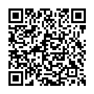 林烽只感觉赢面一股沉重的力道挡住了他的前面二维码生成