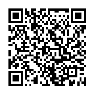 林烽可以清晰的感受到自己的力量正在一点点的增加着二维码生成