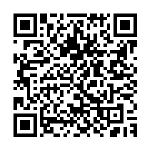 林烽和徐敏静就站在楼下前台这里还听到从楼上传来的震动声音二维码生成