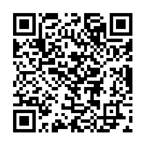 林烽和秦嫣然那令人羡慕和充满着正能量的恋爱关系二维码生成