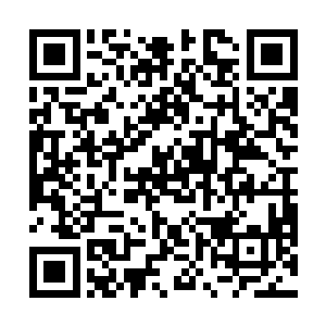 林烽和萧霓裳就已经用最快的速度赶到了这边的天台了二维码生成