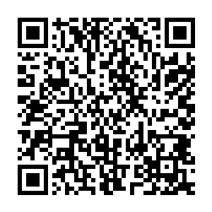林烽居然将隔壁儿童乐园的那种充气的小型儿童游泳池给搬过来了二维码生成