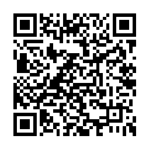 林烽应该是在芝安市的家里面悠哉悠哉享着清福二维码生成