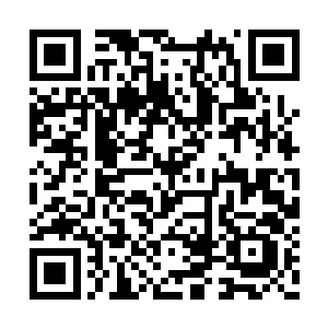 林烽应该要和他一样屁股被戳个洞才算公平的啊二维码生成