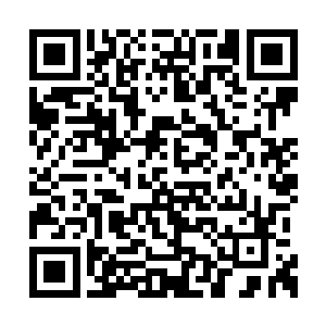 林烽总算是知道为什么瀛城的五院如此的热闹了二维码生成