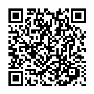 林烽恐怕这一次是真的葬身在下面的岩浆当中了二维码生成