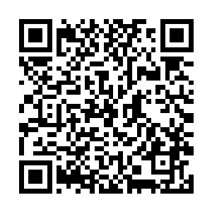 林烽感觉到自己好像成了地面上最不起眼的一株小草二维码生成