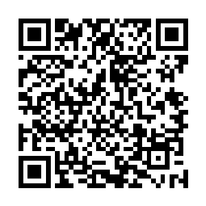 林烽才彻底地明白发生在王雅君身上的这一切前因和后果二维码生成