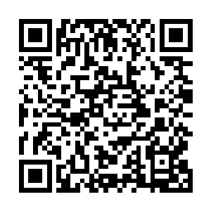 林烽才真正意识到二十四颗定海神珠所蕴含的更多的价值二维码生成