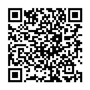 林烽拿出手机一边看着微博热度排行和各种议论的帖子二维码生成