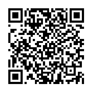 林烽班级那个以前总是第一的女孩秦嫣然的母亲二维码生成