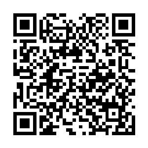 林烽的呼吸随着植物的呼吸形成了一个很好的周期二维码生成