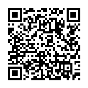 林烽的心头也忍不住多了几分期待还有依恋之情二维码生成