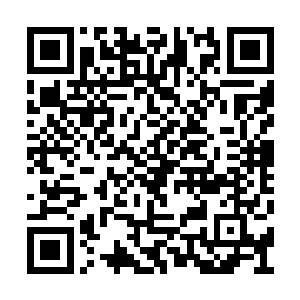 林烽的灵识范围当中突然发现了一个熟悉的身影二维码生成