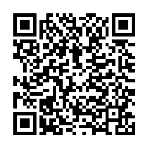 林烽的目光朝着下面看去老婆孩子们在下面对着他微笑二维码生成