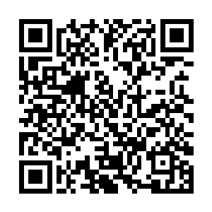 林烽的眼中闪烁着冰冷的光芒直接朝着郭浩冲了过去二维码生成