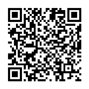 林烽的这一道劫雷攻击任妖根本就没有飞到那过在心上二维码生成