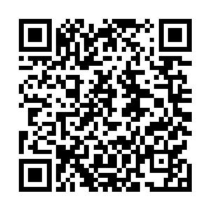 林烽直接将手中的四块玉佩朝着白衣大教主那边抛了过去二维码生成