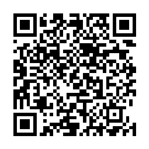 林烽笑着问了问那十几个买了自己名额的武者和基因战士二维码生成