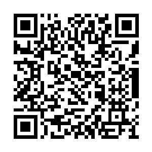 林烽第一时间便感觉到令牌之所散发的阵法波动二维码生成