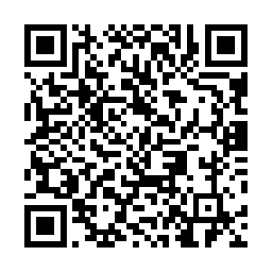 林烽给她的东西上面记录着很多她以前和家人相处的瞬间二维码生成